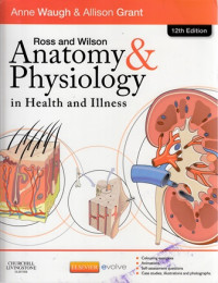 Anatomy And Physiology : in Health and Illness