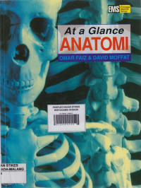 At a Glance : Anatomi